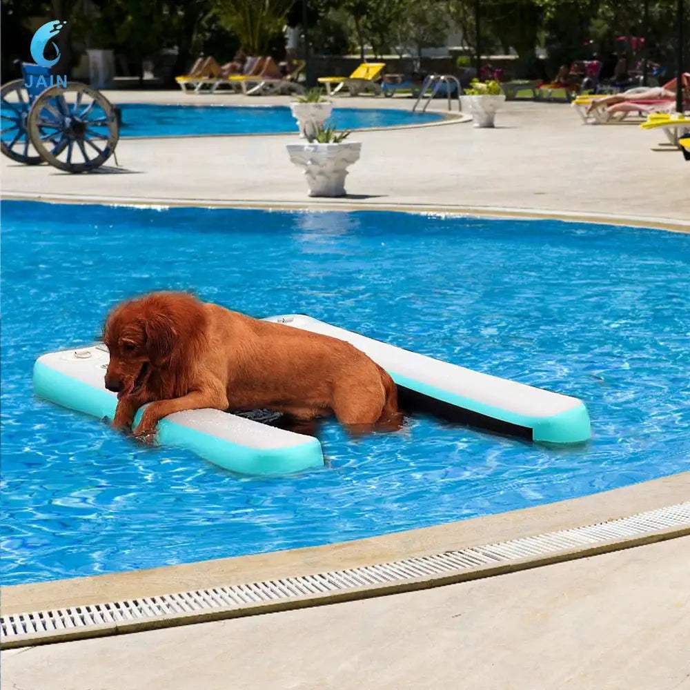  Inflatable Dog Water Ramp Durable PVC For Pool Access -  ToylandEU™
