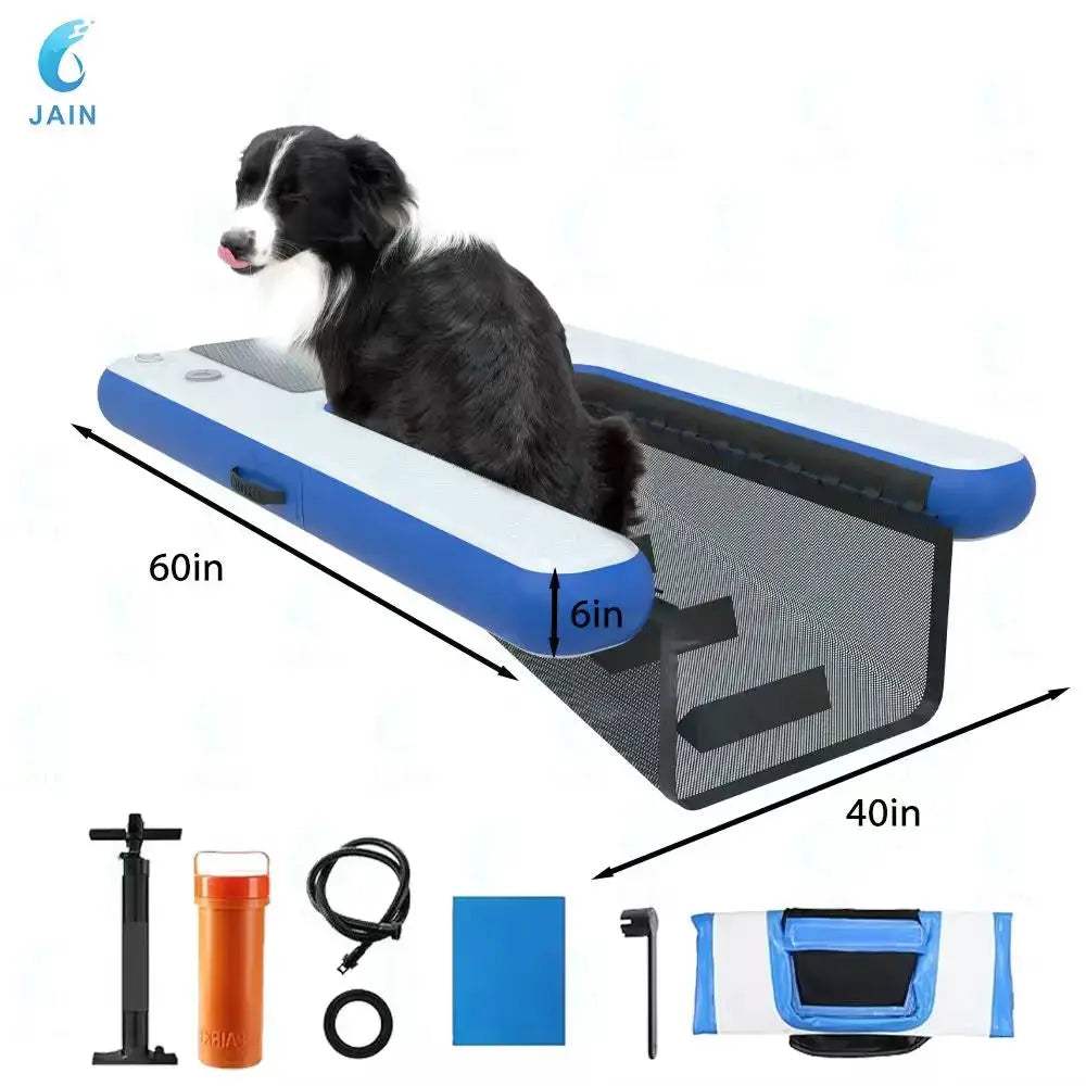  Inflatable Dog Water Ramp Durable PVC For Pool Access -  ToylandEU™