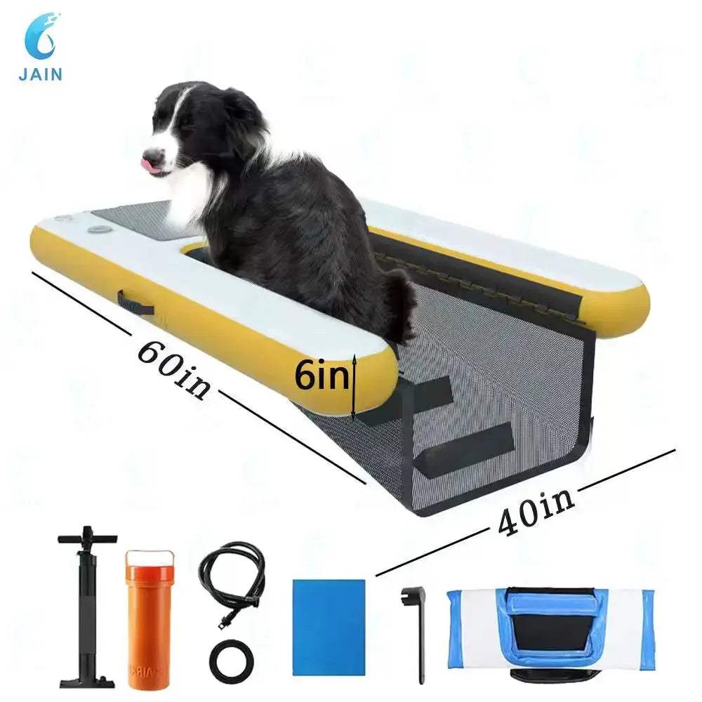  Inflatable Dog Water Ramp Durable PVC For Pool Access -  ToylandEU™