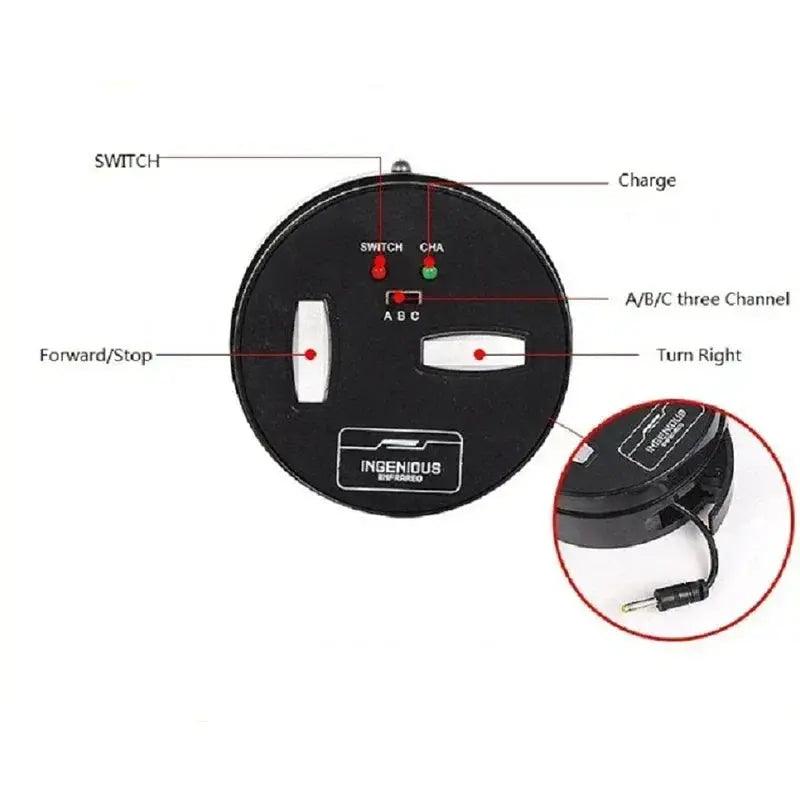 Infrared RC Beetle Toy For Pets Realistic Crawling -  ToylandEU™