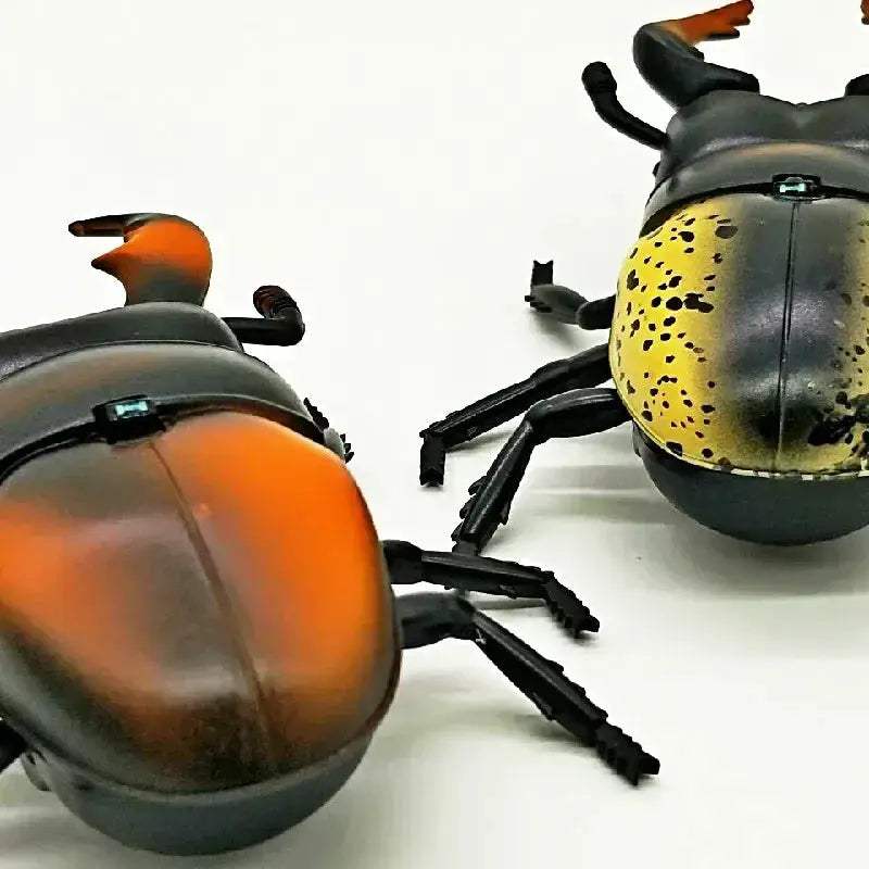 Infrared RC Beetle Toy For Pets With Realistic Crawling - ToylandEU
