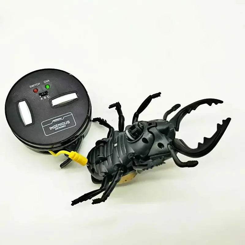 Infrared RC Beetle Toy For Pets With Realistic Crawling - ToylandEU