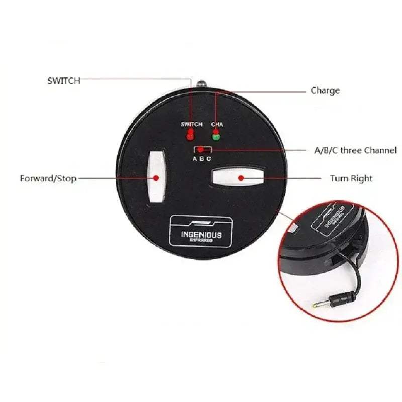 Infrared RC Beetle Toy For Pets With Realistic Crawling - ToylandEU