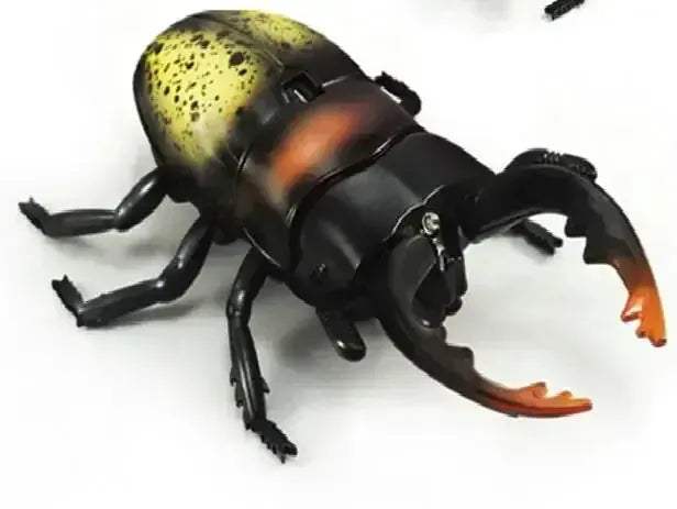 Infrared RC Beetle Toy For Pets With Realistic Crawling - ToylandEU