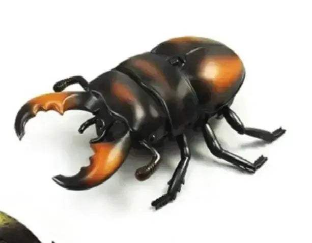 Infrared RC Beetle Toy For Pets With Realistic Crawling - ToylandEU