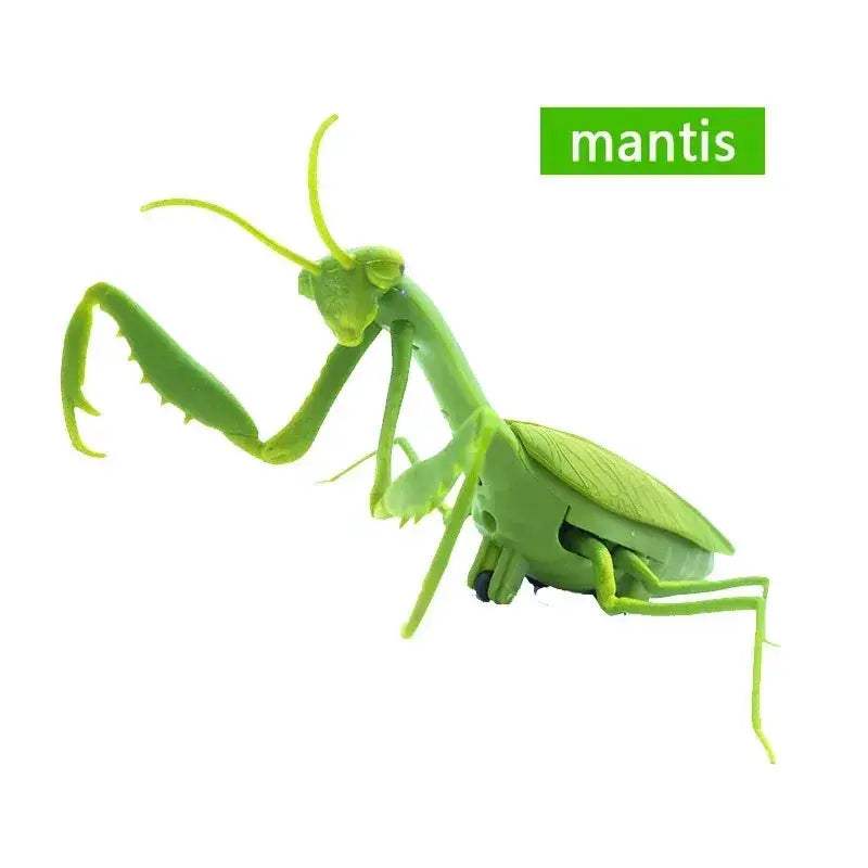 Infrared Remote Control Insect Toys Prank Set For Kids - ToylandEU