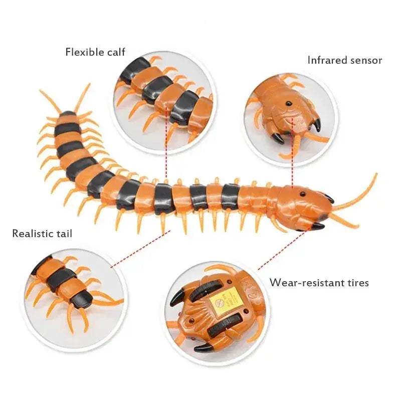 Infrared Remote Control RC Scorpion Toy For Pranks - ToylandEU
