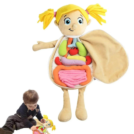  Interactive 3D Human Body Anatomy Puzzle - Fun Educational Toy for Kids -  ToylandEU™
