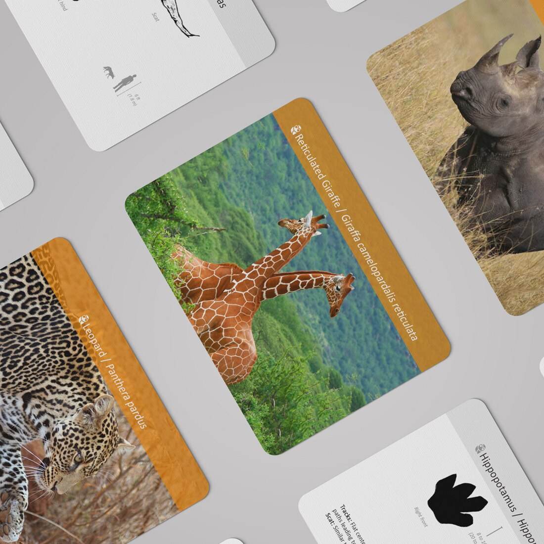 Интерактивни флаш карти със стъпки на африкански животни за деца, образователни забавления - ToylandEU