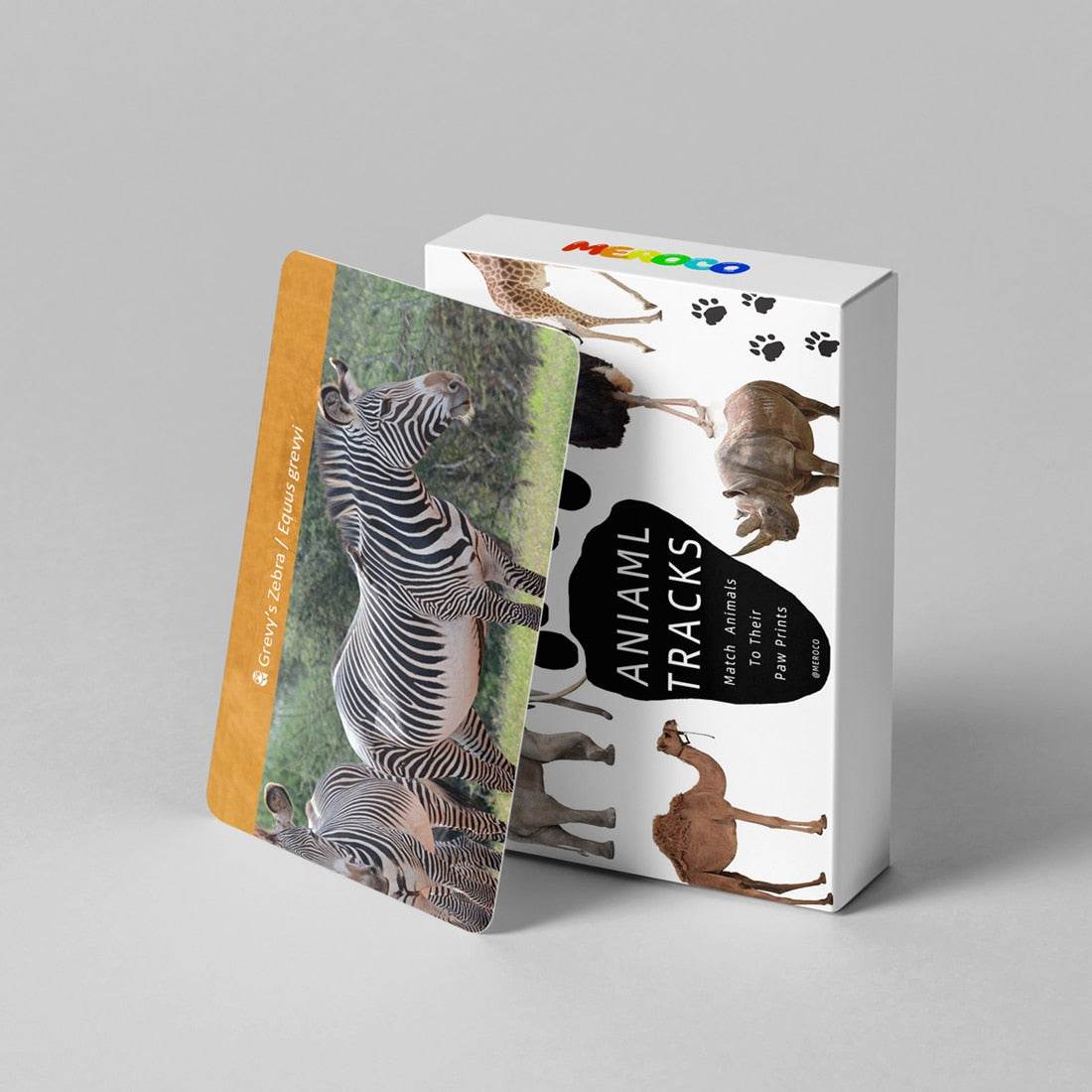 Interactive African Animal Footprint Flash Cards for Kids Educational Fun - ToylandEU