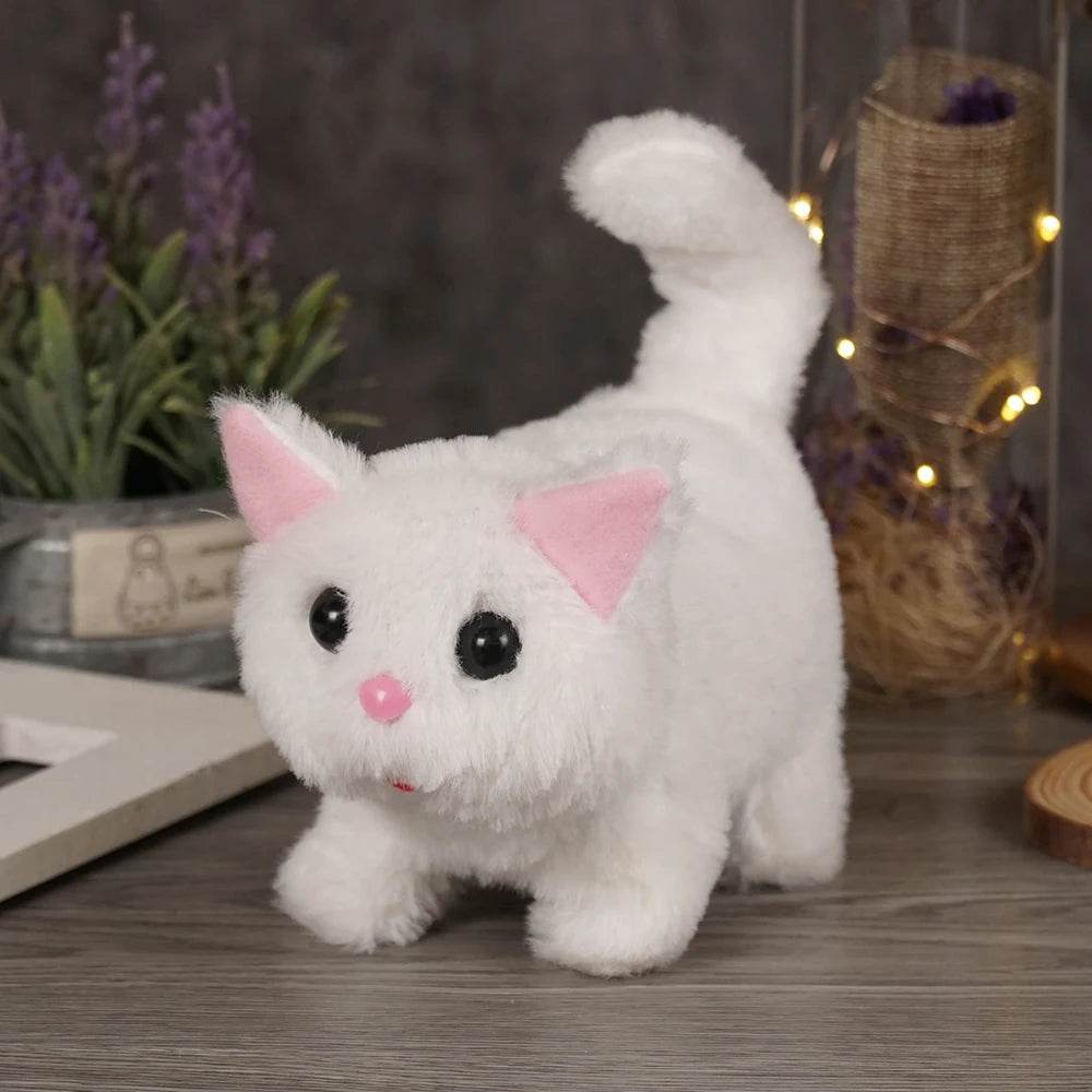 Barcha turdagi jinsiy aloqa video Masajchi qarshilik korsata olmadi va mijozni hol mushuk bilan sikdi.