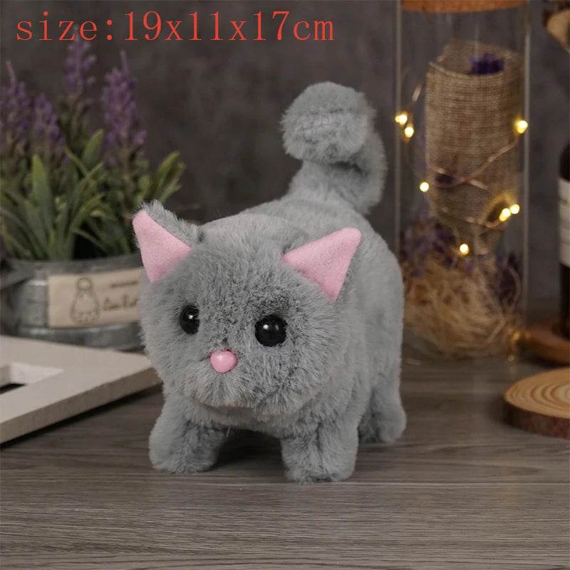 Cheboksari shahridagi erotik fotostudiyalar Shaffof fotosuratda yoz