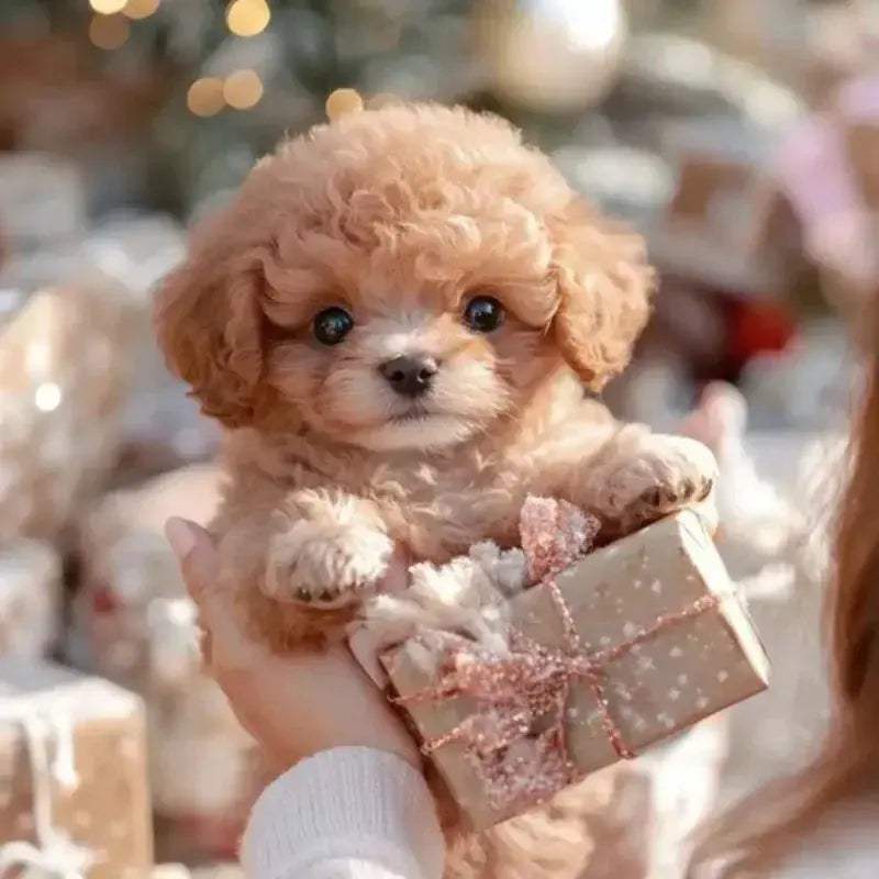 Interactive Robot Puppy Plush Walking Dog Toy With Realistic Bark - ToylandEU