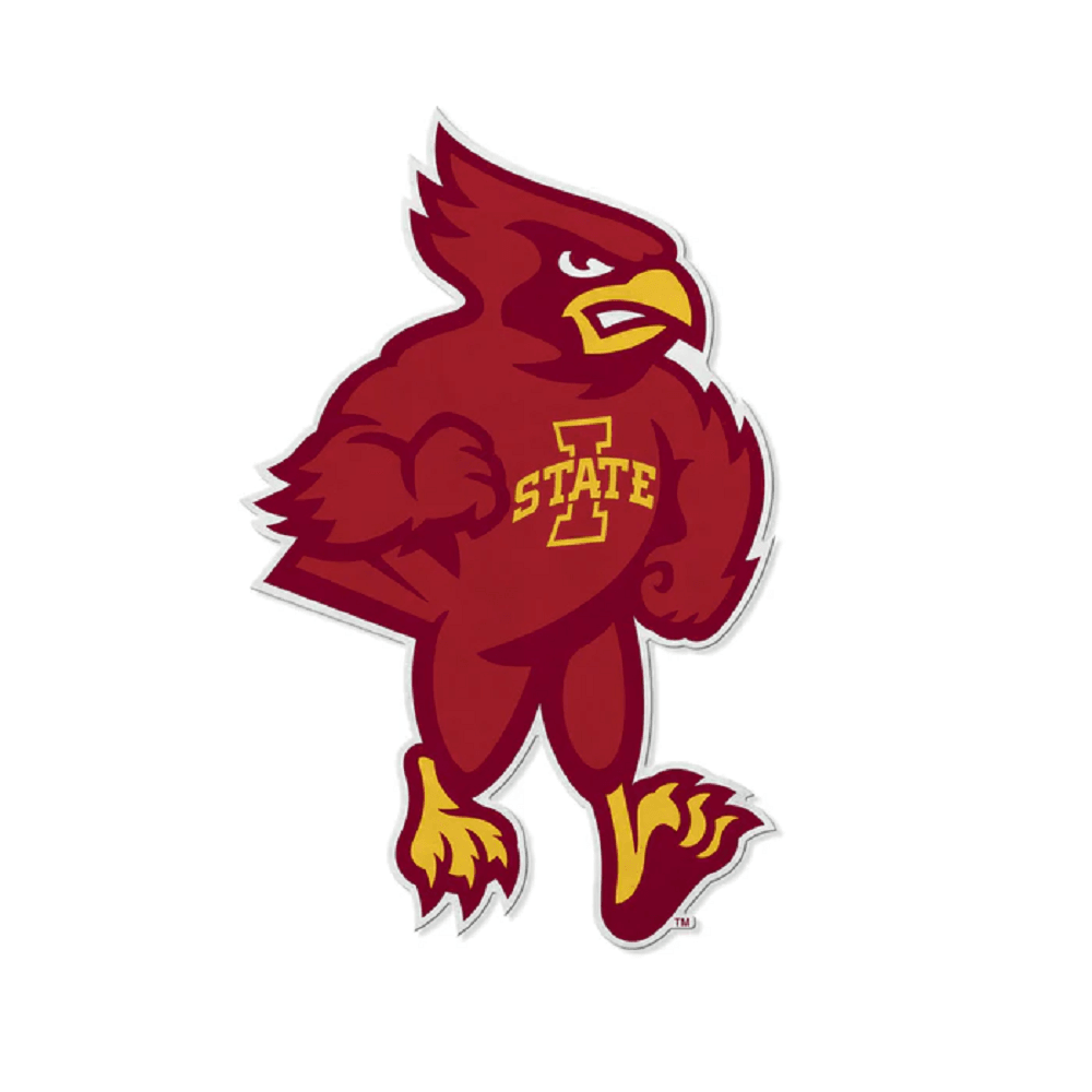 Iowa State Cyclones Pennant Mascot Design Felt Decor - ToylandEU