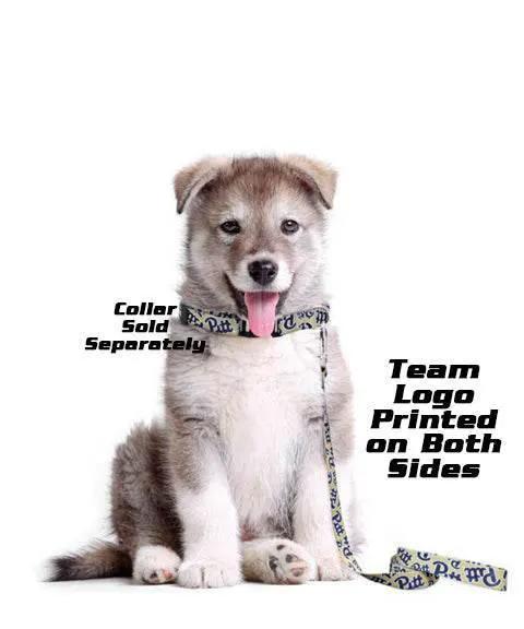  Iowa State Cyclones Pet Leash 60 Inch Little Earth Brand -  ToylandEU™