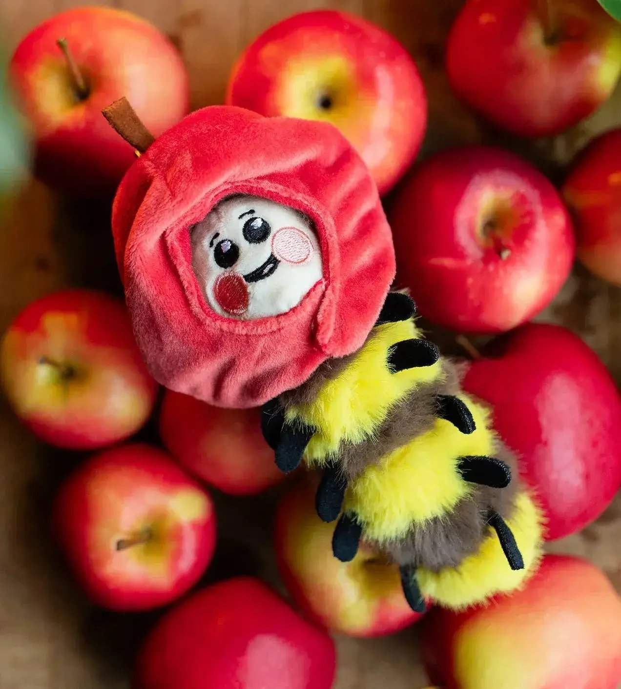 Kaleidos Creative: Wooly Bear and Friends Plush Keychain Blind Box - ToylandEU