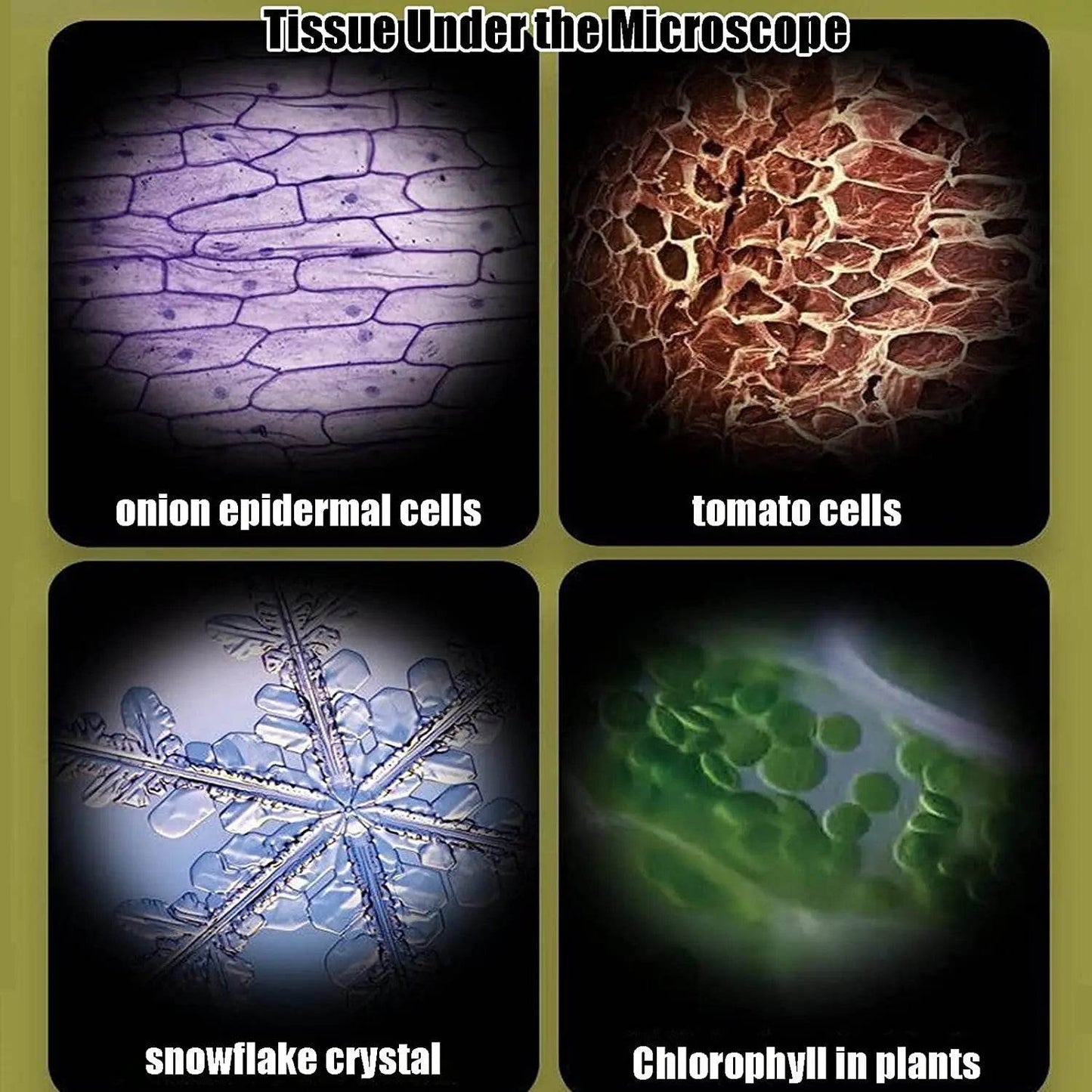 Kid Science Experiment Pocket Microscope Toy Kit 60-120x Educational Mini Handheld Microscope with Light Children STEM Toys Gift - ToylandEU