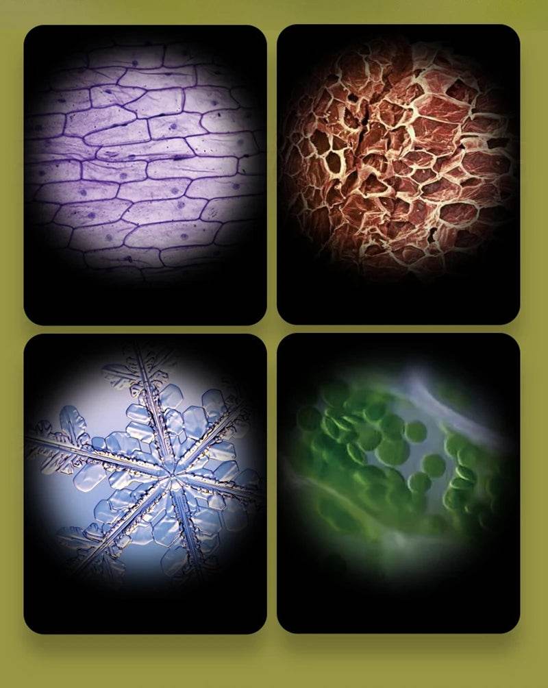 Kid Science Experiment Pocket Microscope Toy Kit 60-120x Educational Mini Handheld Microscope with Light Children STEM Toys Gift - ToylandEU