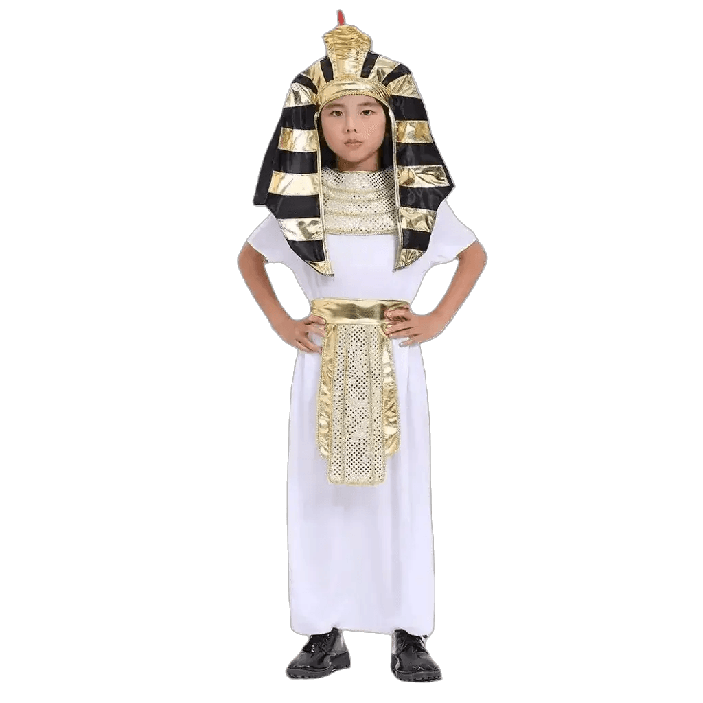  Kids' Egyptian Pharaoh Costume - Perfect for Halloween & Theater Fun! -  ToylandEU™