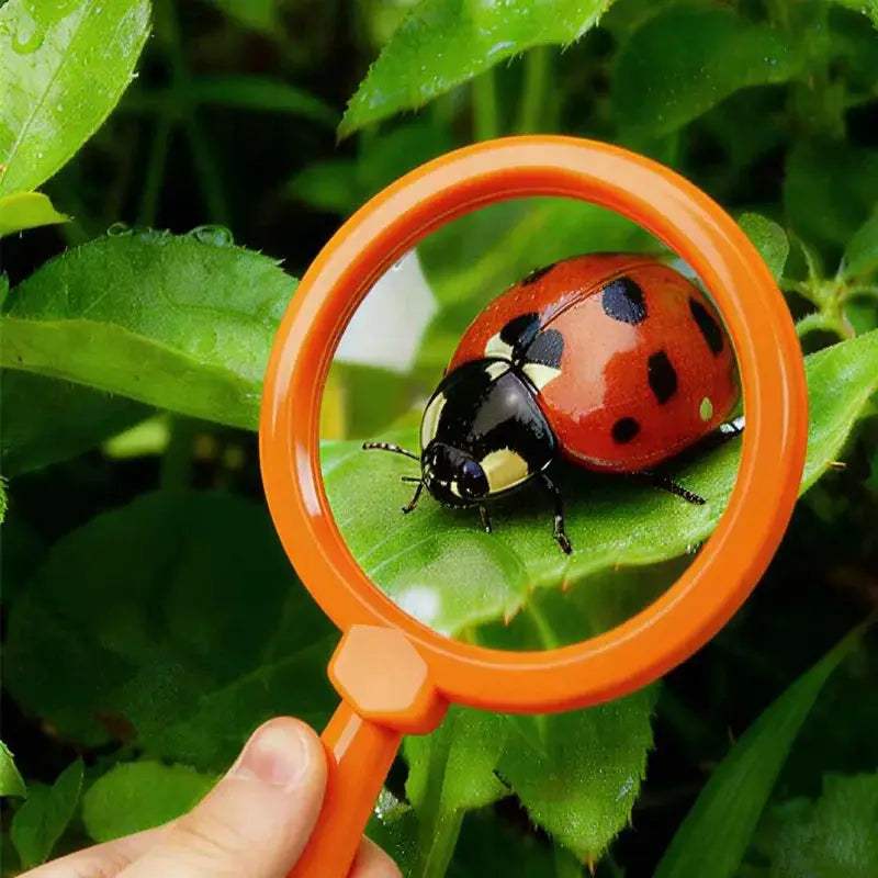  Kids Magnifying Glass With Stand Educational Toy -  ToylandEU™