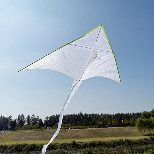  Kite 2m Blank Triangle Shape 100m Line Toylandeu™ 
