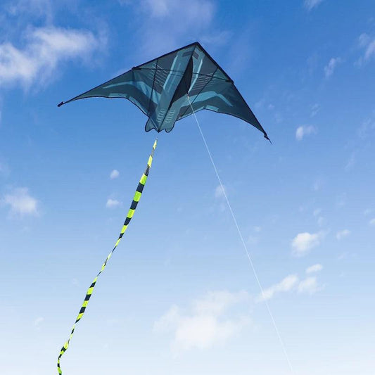  Kite | 2m Wingspan Nylon Delta Kite | Toylandeu™ 