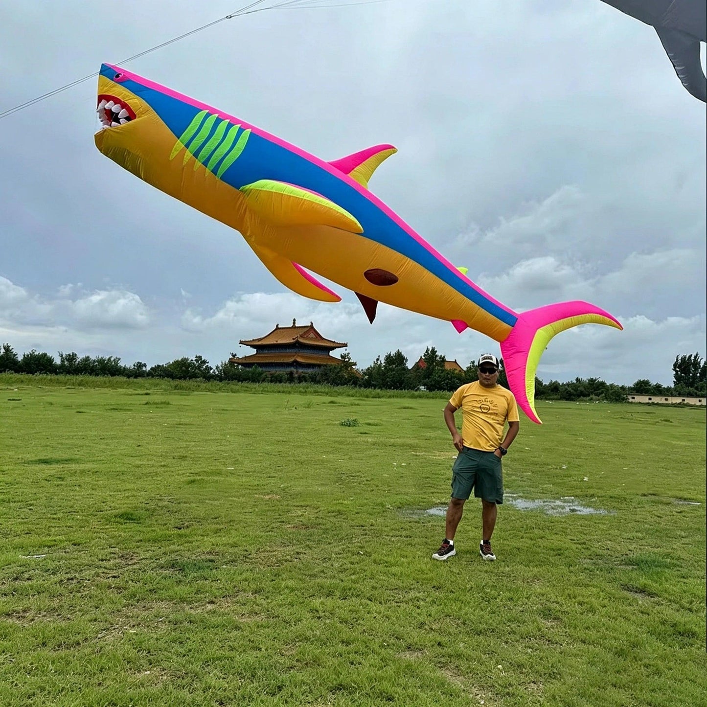  Kite | 6m Shark Design Durable Polyester | Toylandeu™ 