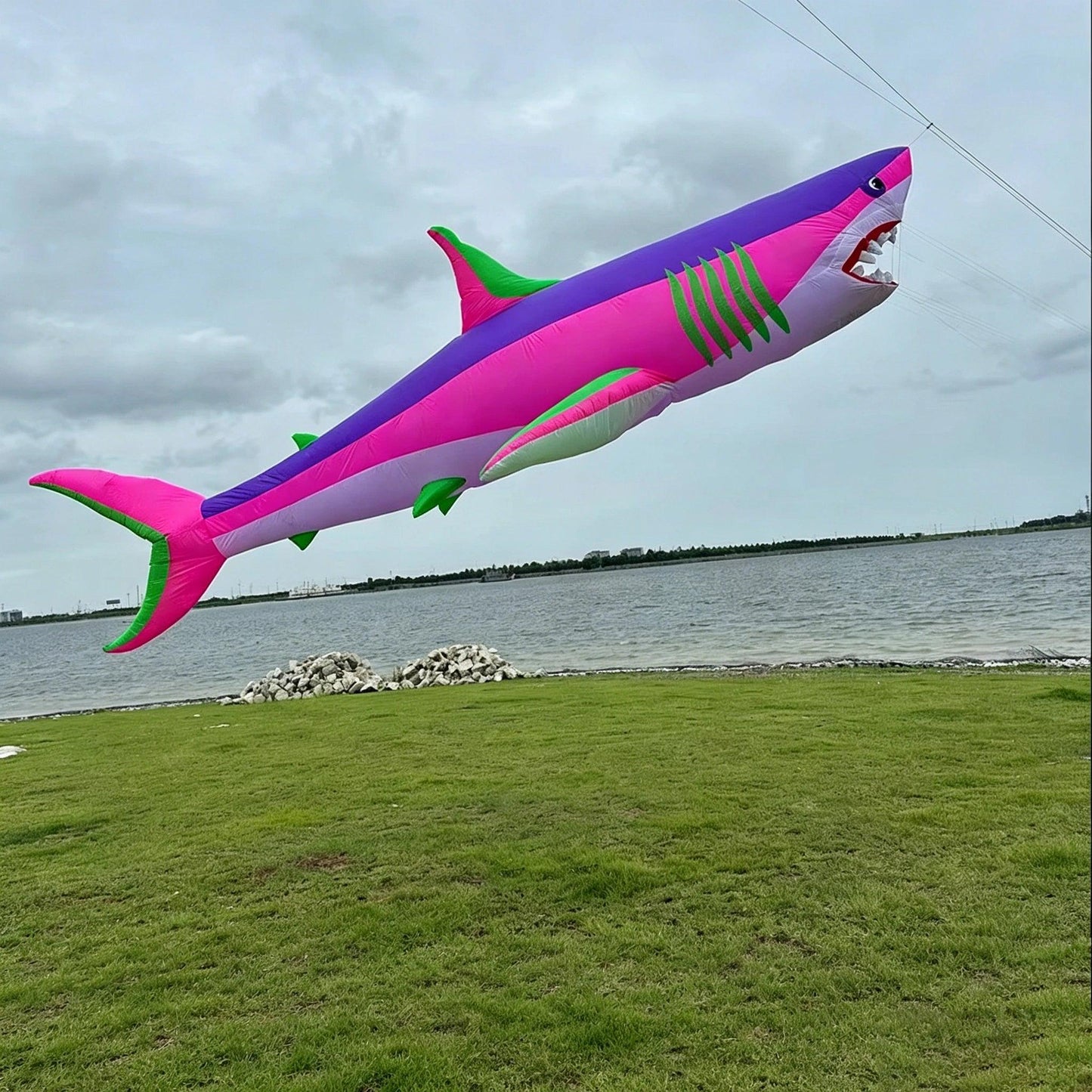  Kite | 6m Shark Design Durable Polyester | Toylandeu™ 