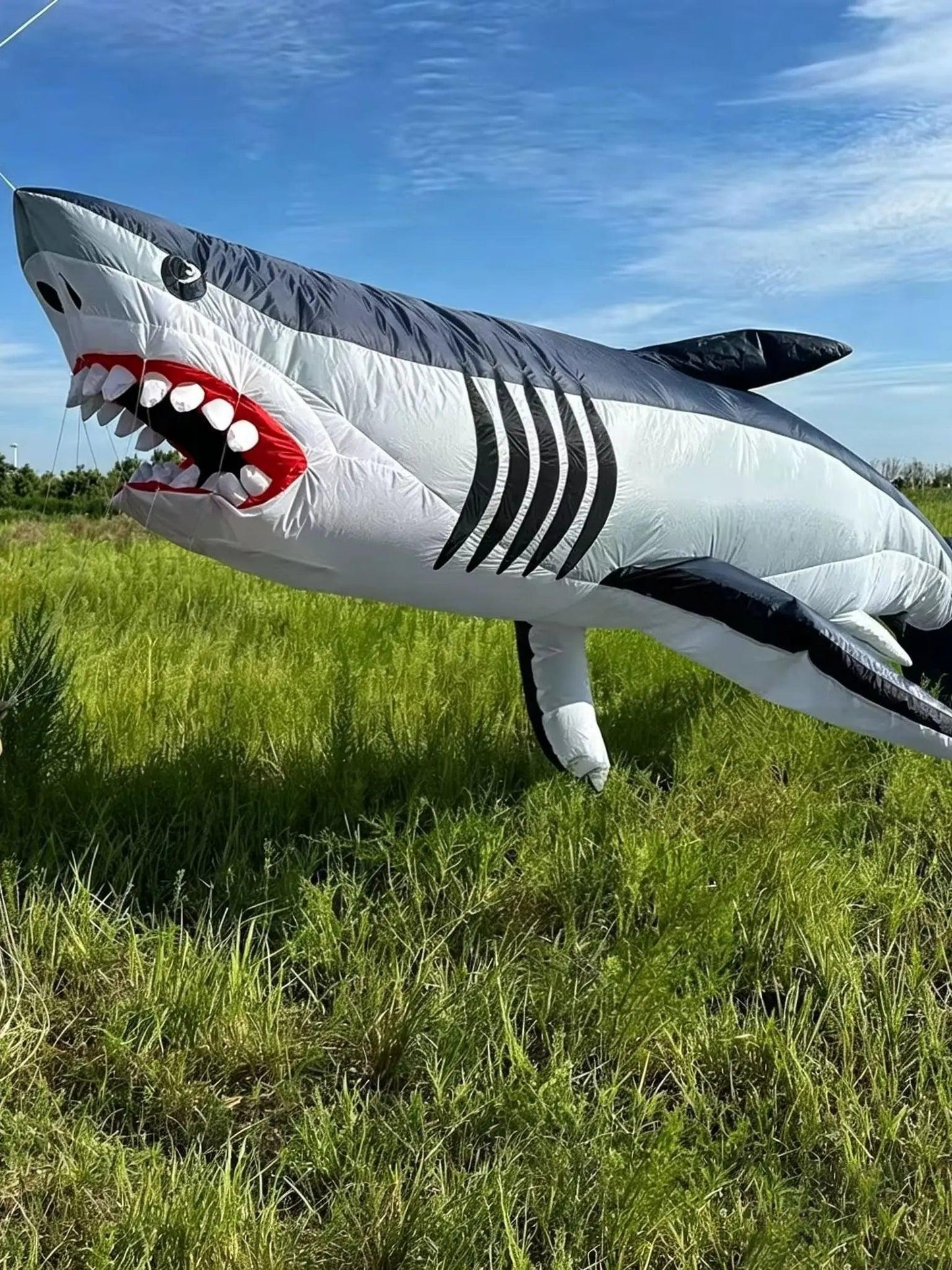  Kite | 6m Shark Design Durable Polyester | Toylandeu™ 