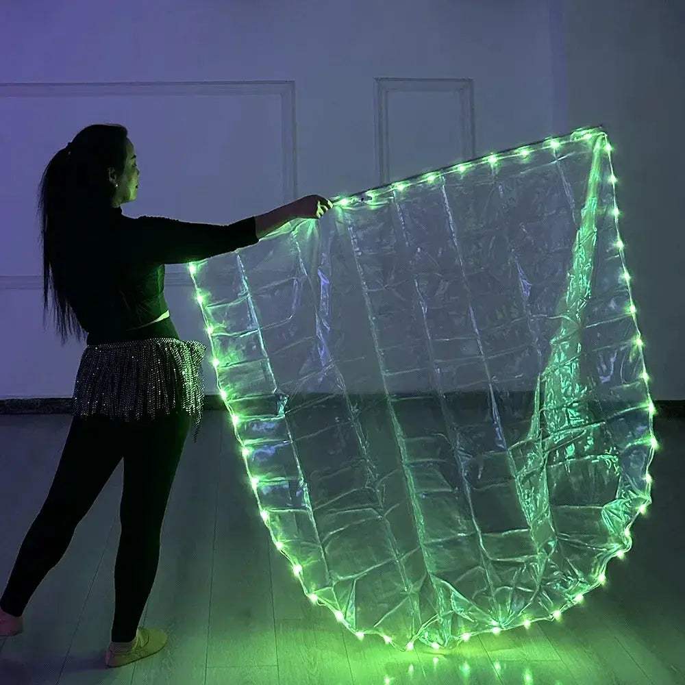 LED Belly Dance Flag With USB Powered Bright Light Stick - ToylandEU