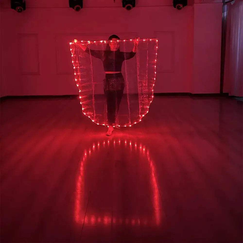 LED Belly Dance Flag With USB Powered Bright Light Stick - ToylandEU
