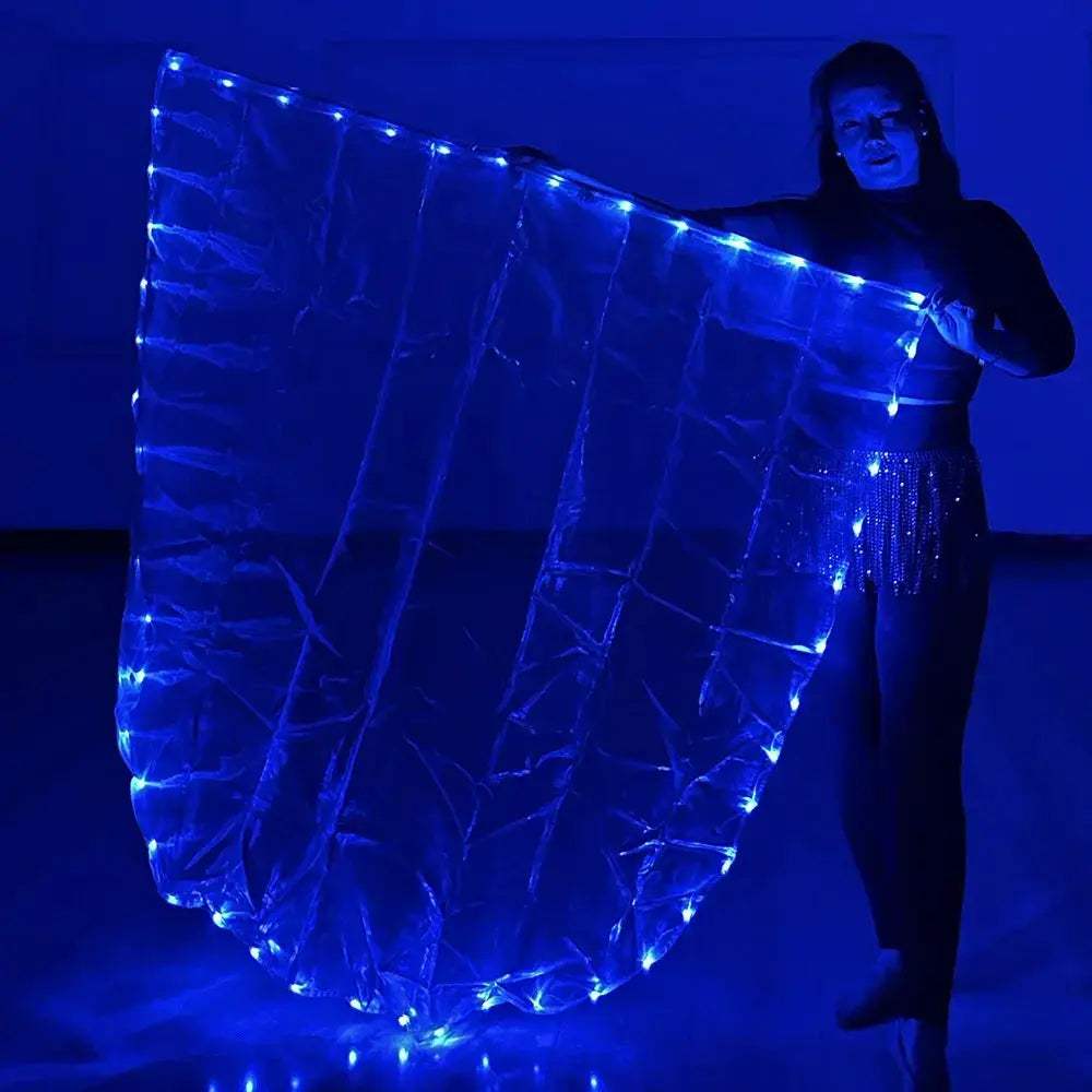 LED Belly Dance Flag With USB Powered Bright Light Stick - ToylandEU