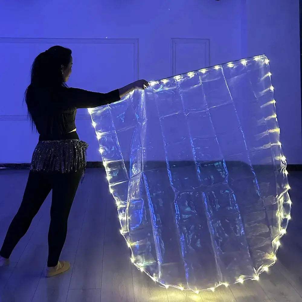 LED Belly Dance Flag With USB Powered Bright Light Stick - ToylandEU