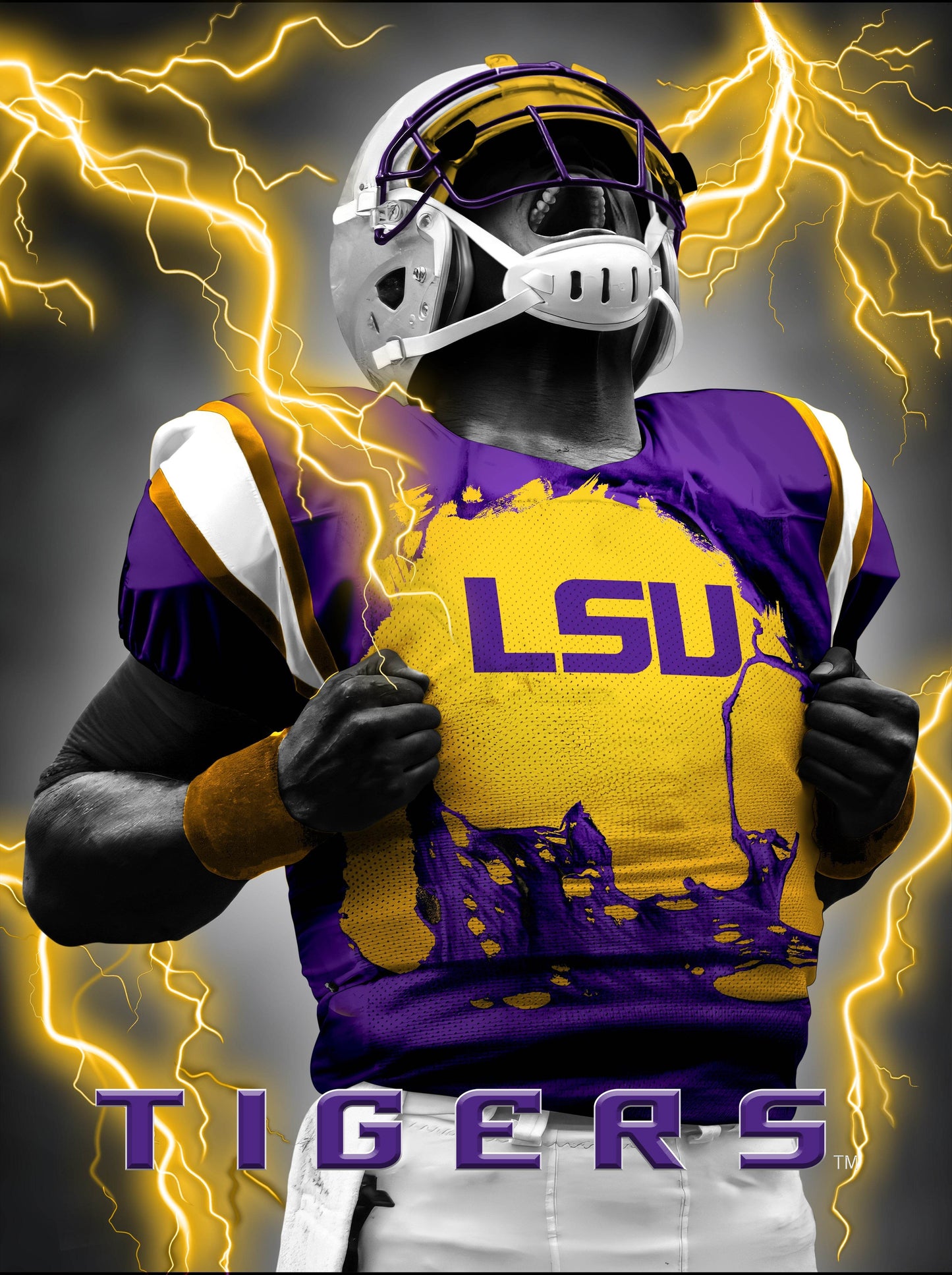 LSU Tigers 3D Lenticular Art Print 12x16 Super Player - ToylandEU