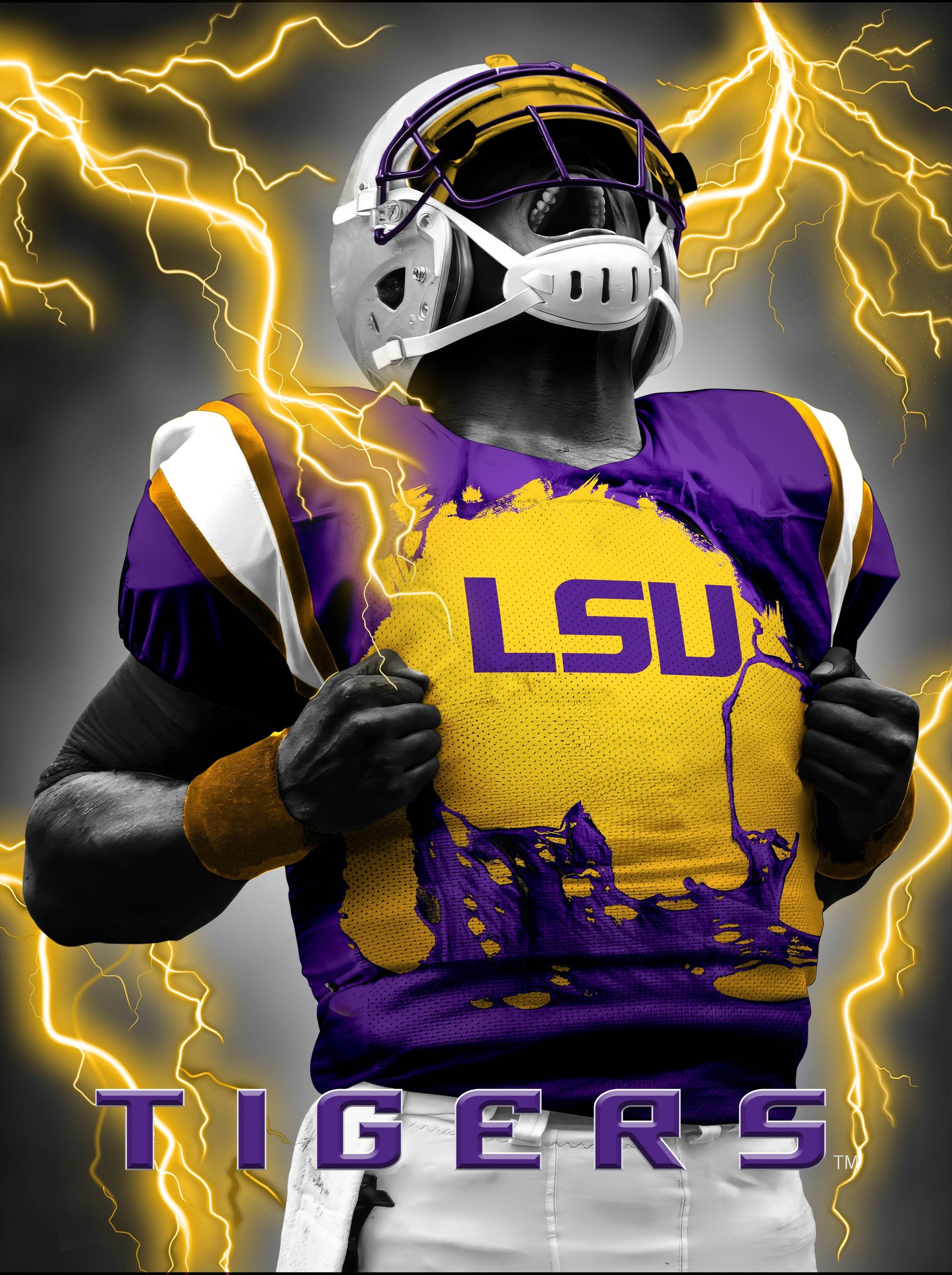 LSU Tigers 3D Lenticular Art Print 12x16 Super Player - ToylandEU