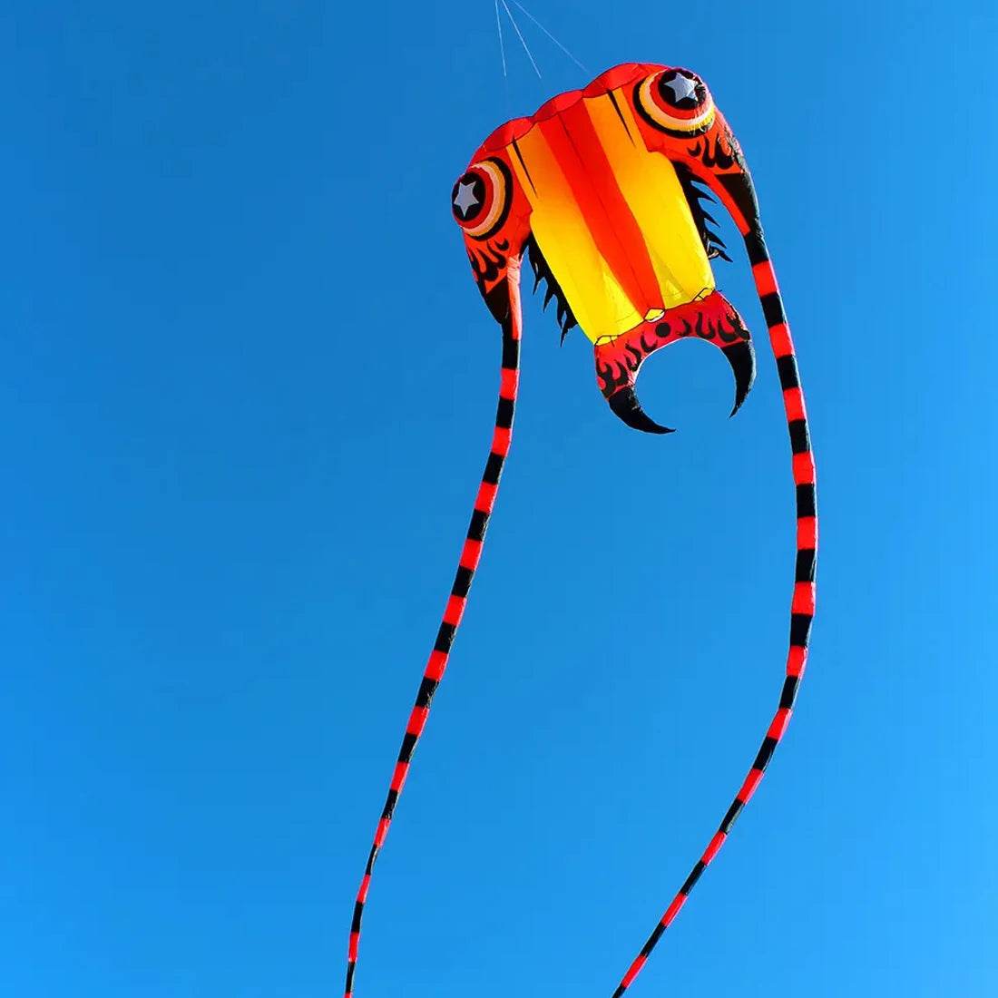 Large Trilobite Parafoil Kite for Exciting Outdoor Fun – 7㎡~16㎡ - ToylandEU