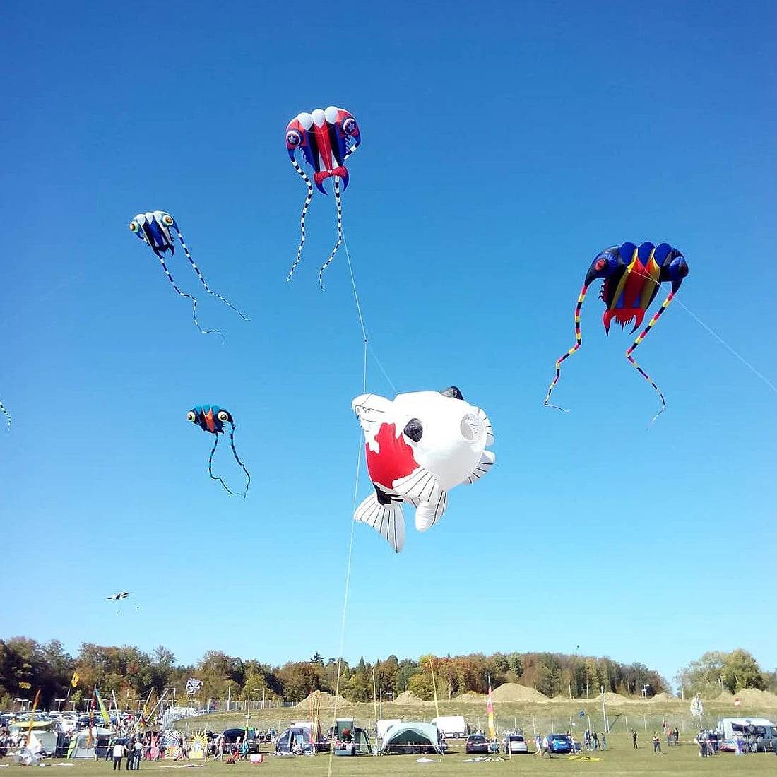 Large Trilobite Parafoil Kite for Exciting Outdoor Fun – 7㎡~16㎡ - ToylandEU