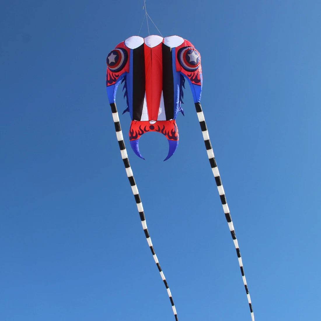 Large Trilobite Parafoil Kite for Exciting Outdoor Fun – 7㎡~16㎡ - ToylandEU