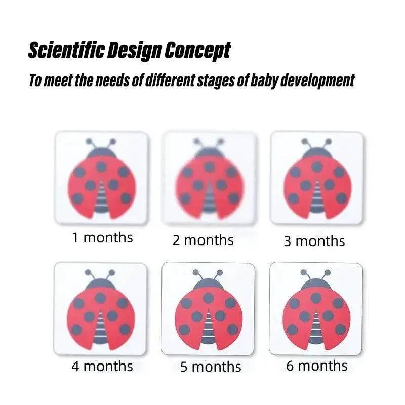  High Contrast Baby Vision Cards Black And White Visual Stimulation Flash Card Learning Game 0 12 Months Infant Gift Sensory Toy -  ToylandEU™