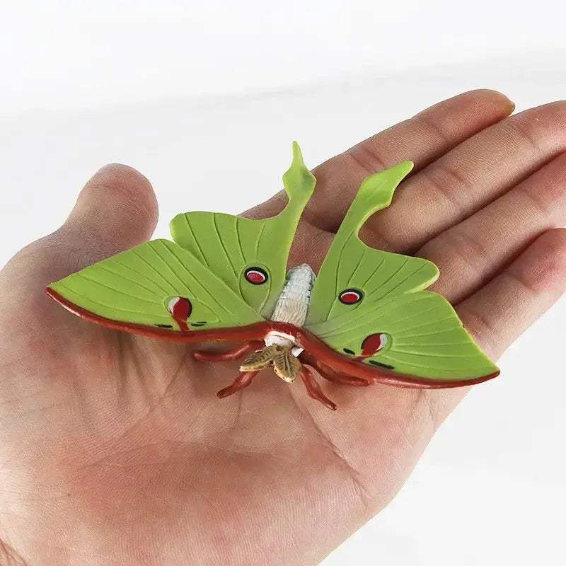 Life Cycle Animals Model Montessori Educational Toy - ToylandEU