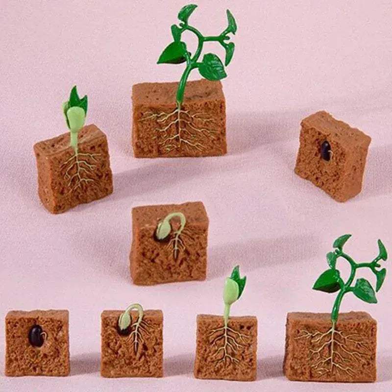 Life Cycle Animals Model Montessori Educational Toy - ToylandEU