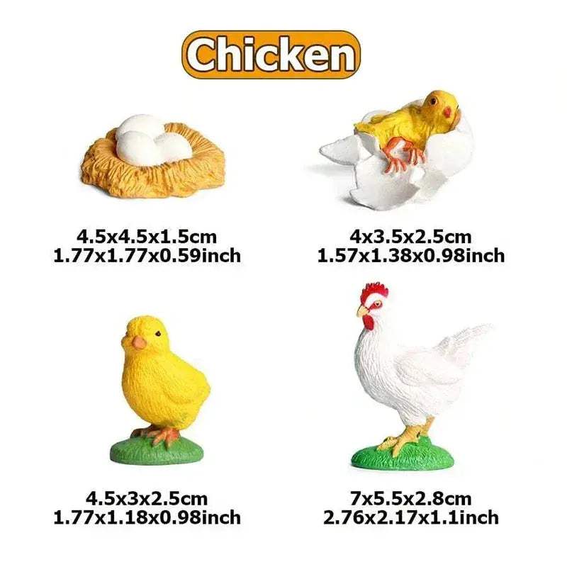 Life Cycle Animals Model Montessori Educational Toy - ToylandEU