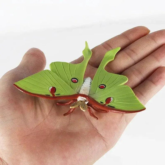  Life Cycle Animals Montessori Educational Toy Hands On -  ToylandEU™