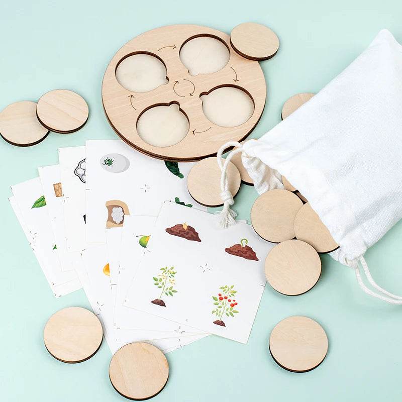 Life Cycle Board Montessori Kit for Kids Biology Science Education Sensory Tray Animal Figure Sorting Christmas Gift - ToylandEU