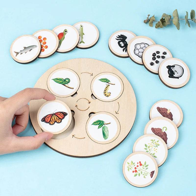 Life Cycle Board Montessori Kit for Kids Biology Science Education Sensory Tray Animal Figure Sorting Christmas Gift - ToylandEU