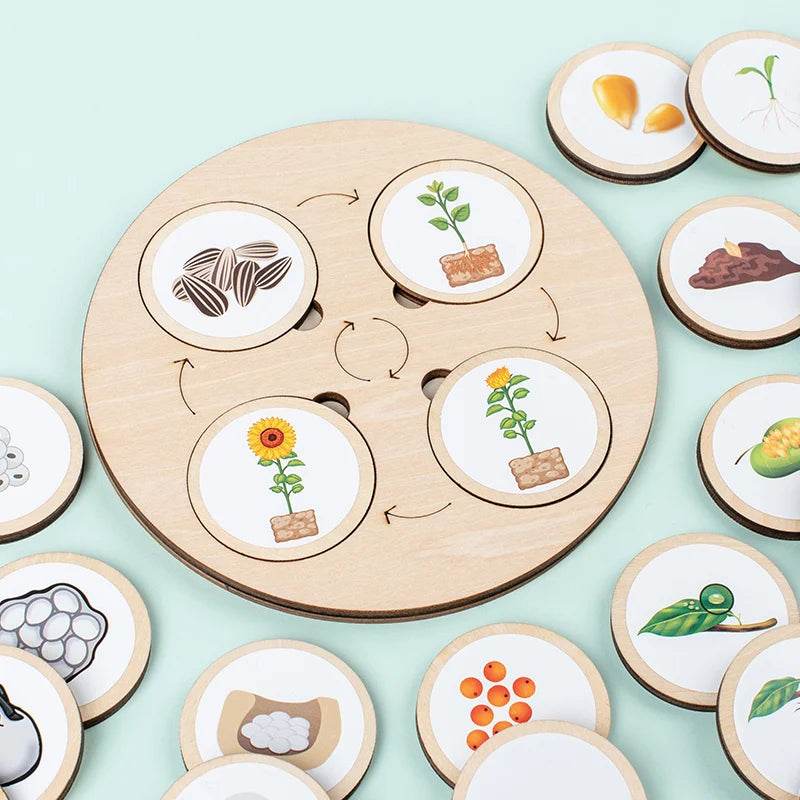 Life Cycle Board Montessori Kit for Kids Biology Science Education Sensory Tray Animal Figure Sorting Christmas Gift - ToylandEU