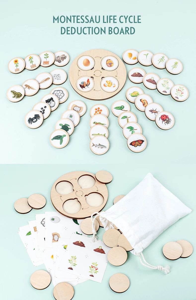 Life Cycle Board Montessori Kit for Kids Biology Science Education Sensory Tray Animal Figure Sorting Christmas Gift - ToylandEU