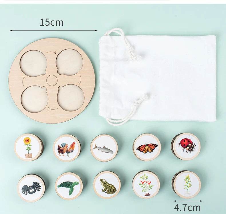 Life Cycle Board Montessori Kit for Kids Biology Science Education Sensory Tray Animal Figure Sorting Christmas Gift - ToylandEU