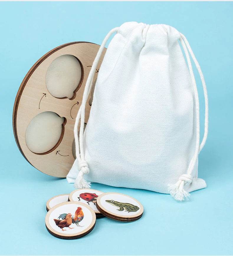 Life Cycle Board Montessori Kit for Kids Biology Science Education Sensory Tray Animal Figure Sorting Christmas Gift - ToylandEU