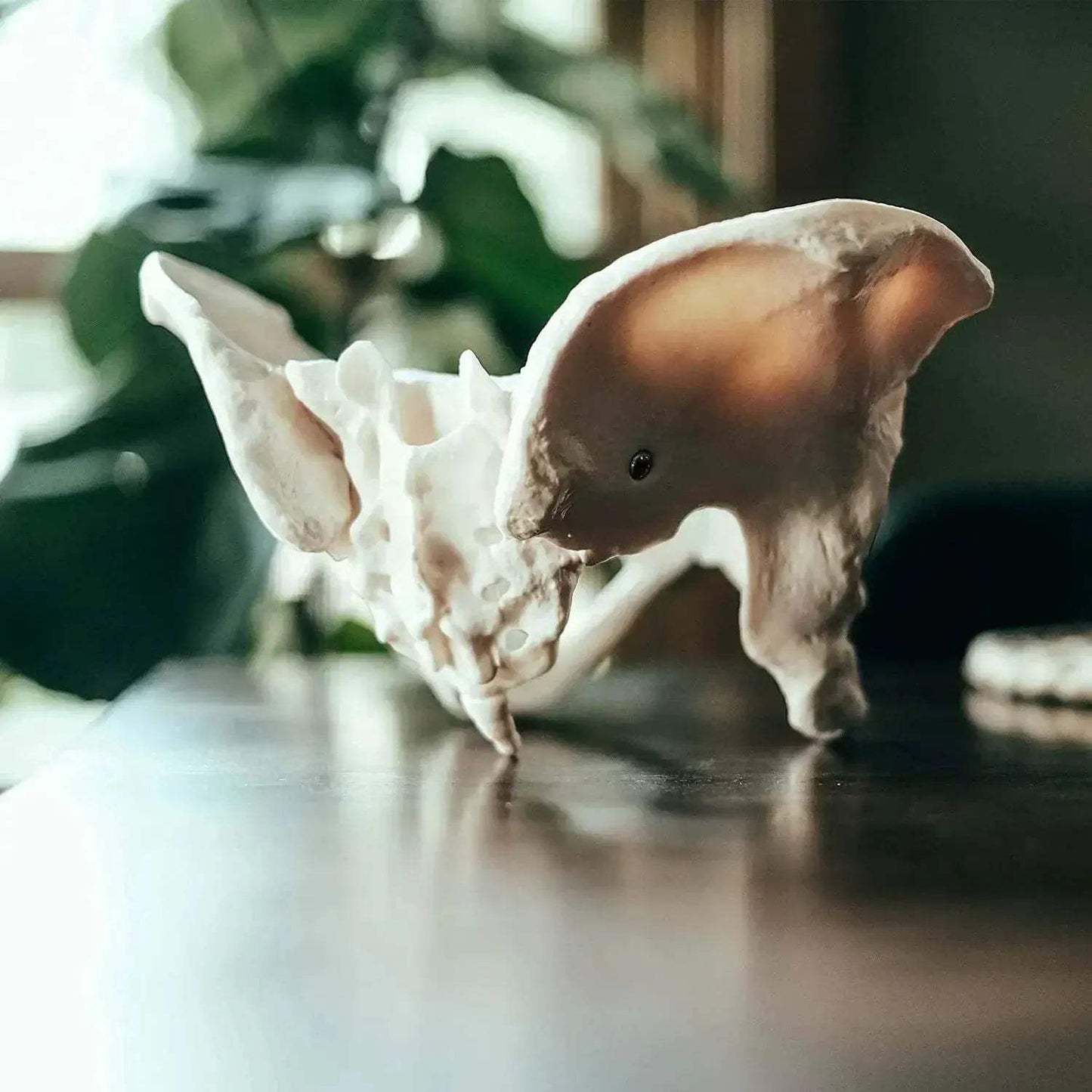Life Size Female Pelvis Model For Anatomy Education - ToylandEU